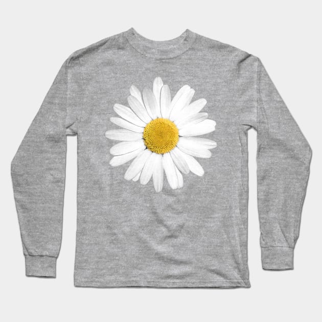 White Marguerite Daisy Flower Long Sleeve T-Shirt by FAROSSTUDIO